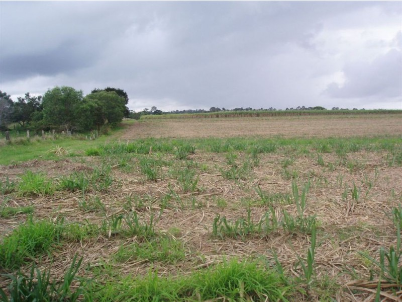 Tinana QLD 4650