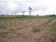 Tinana QLD 4650
