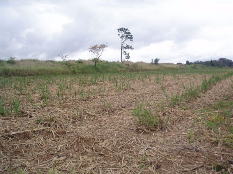 Tinana QLD 4650