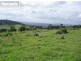 2 Repeater Station Road, Gunalda QLD 4570