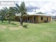 Tinana QLD 4650