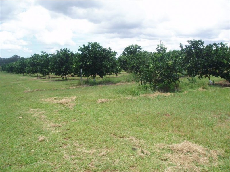 Tinana QLD 4650