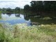 Tinana QLD 4650