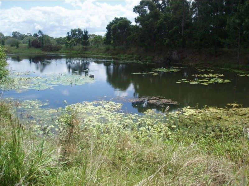 Tinana QLD 4650
