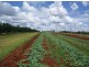 Tinana QLD 4650
