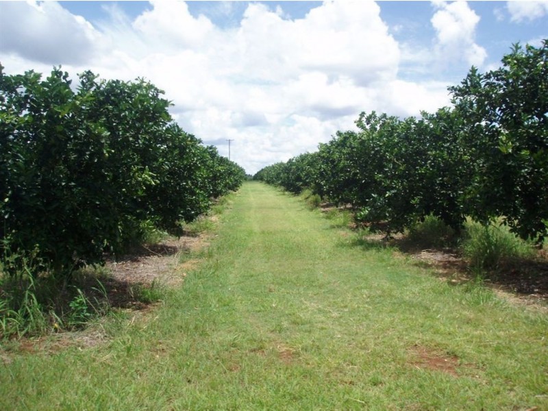 Tinana QLD 4650