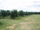Tinana QLD 4650