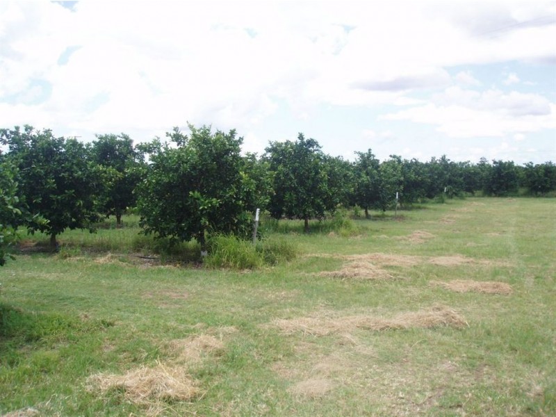 Tinana QLD 4650