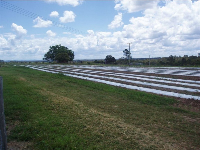 Tinana QLD 4650
