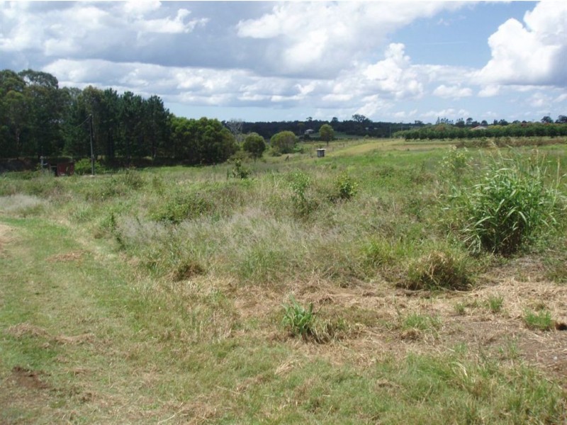 Tinana QLD 4650