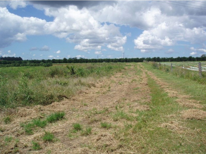 Tinana QLD 4650