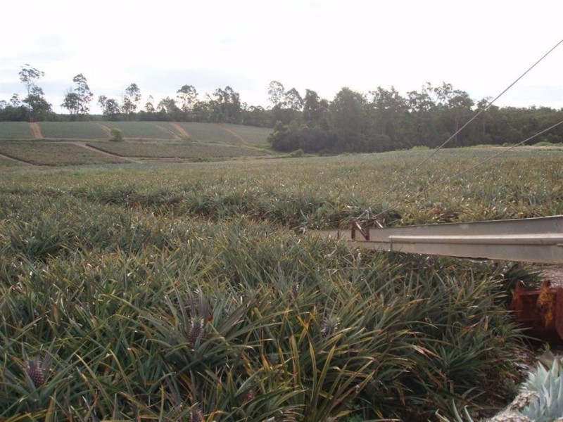 170 Old Mill Road,, Yengarie QLD 4650