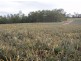 170 Old Mill Road,, Yengarie QLD 4650