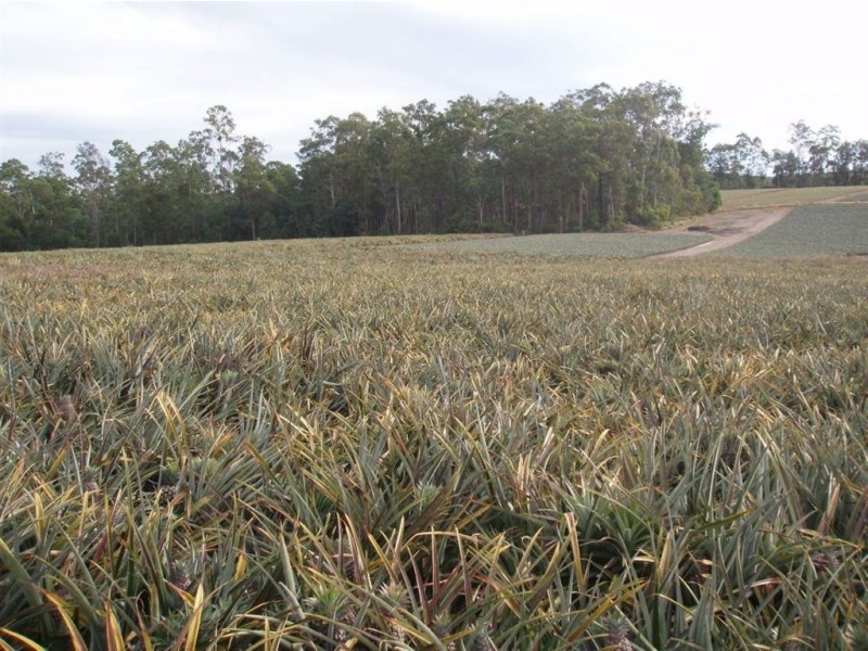 170 Old Mill Road,, Yengarie QLD 4650