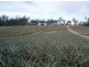 170 Old Mill Road,, Yengarie QLD 4650