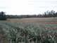 170 Old Mill Road,, Yengarie QLD 4650