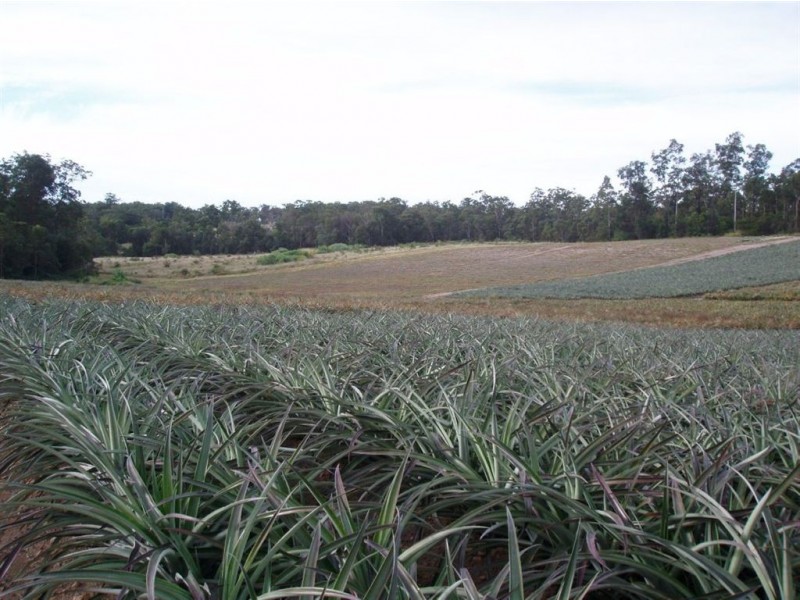 170 Old Mill Road,, Yengarie QLD 4650