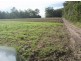 170 Old Mill Road,, Yengarie QLD 4650