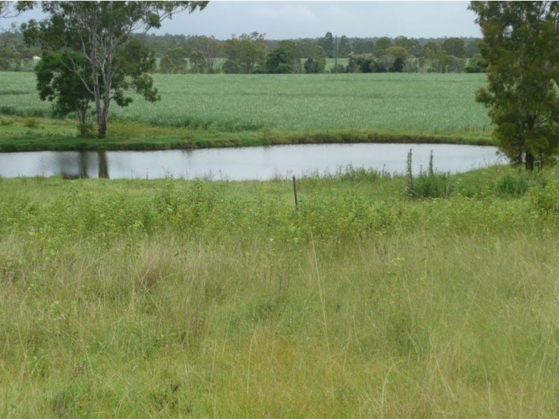Tiaro QLD 4650