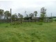 Tiaro QLD 4650