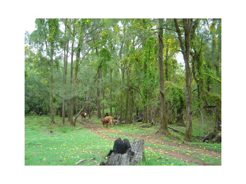 90 Glenbar Road, Brooweena QLD 4620