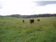 Aramara QLD 4620