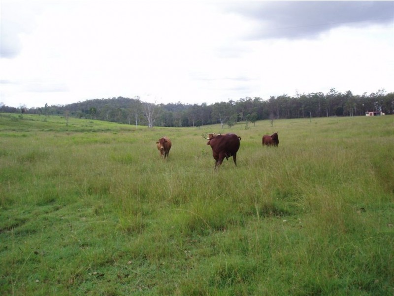 Aramara QLD 4620