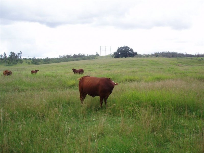 Aramara QLD 4620