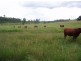 Aramara QLD 4620