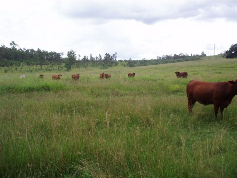 Aramara QLD 4620