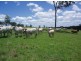 L53, 1838 Maryborough-Biggenden Road, Dunmora QLD 4650