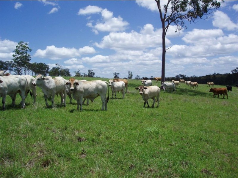 L53, 1838 Maryborough-Biggenden Road, Dunmora QLD 4650