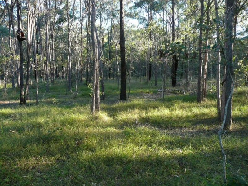 38 Bluebell Road East, Tinana QLD 4650
