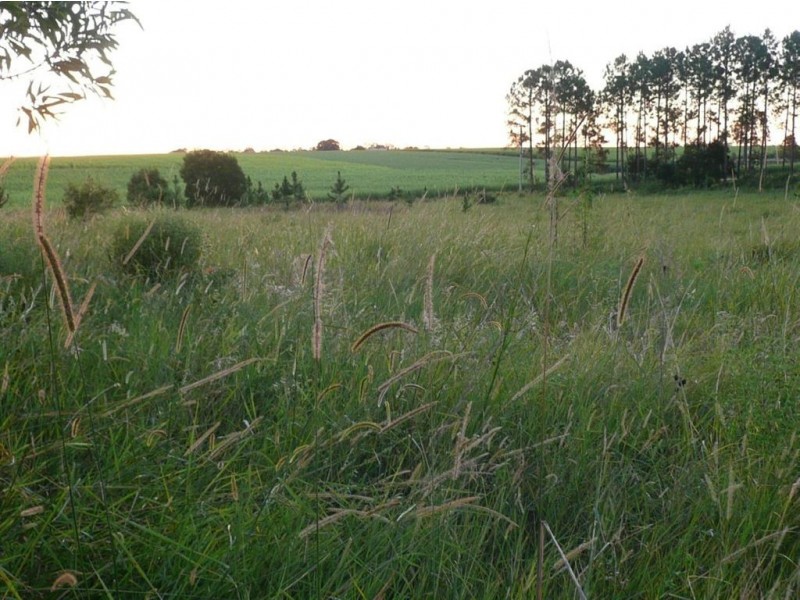 1221 Bidwill Road, Magnolia QLD 4650