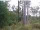Brooweena QLD 4620