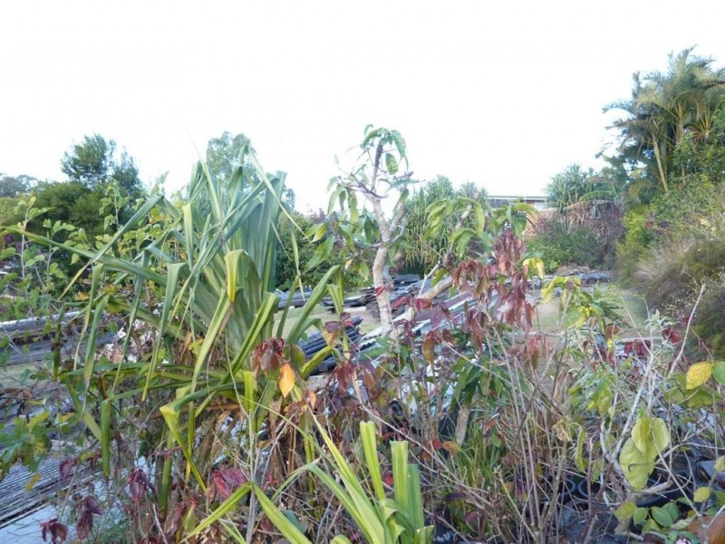 10 Tinana Street, Tinana QLD 4650