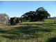 Bauple QLD 4650