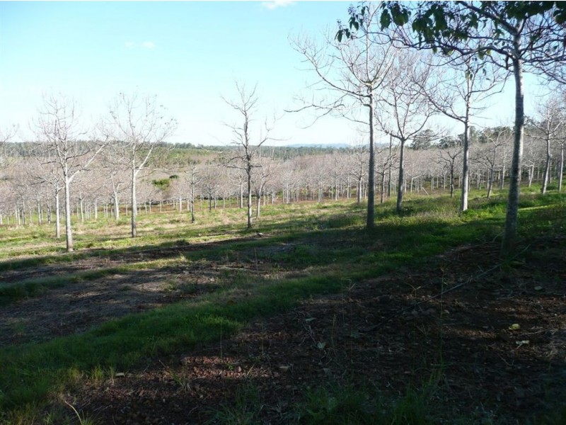 Bauple QLD 4650