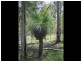 Brooweena QLD 4620