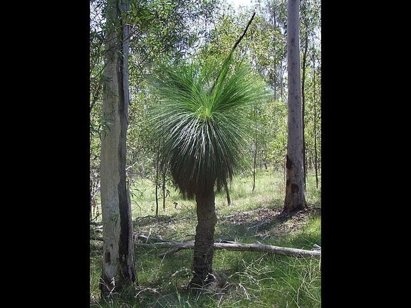 Brooweena QLD 4620