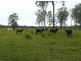 Dunmora QLD 4650