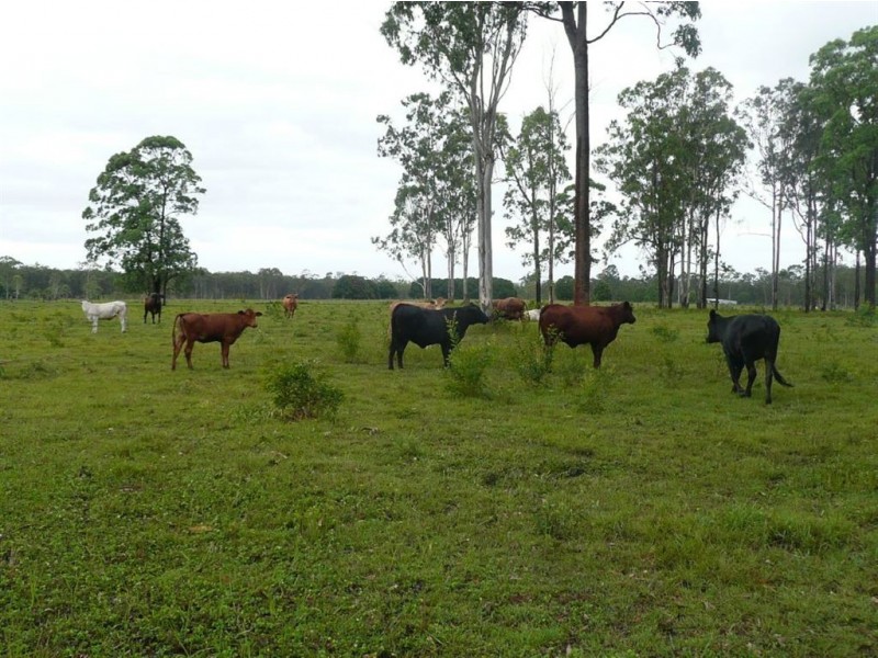 Dunmora QLD 4650