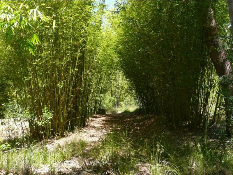 17 Tatnell Drive, Bauple QLD 4650