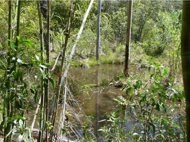 17 Tatnell Drive, Bauple QLD 4650