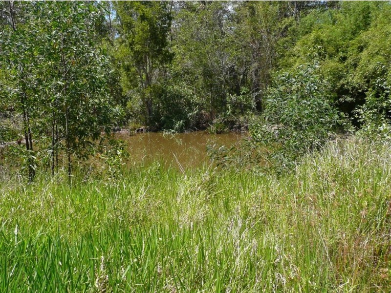 17 Tatnell Drive, Bauple QLD 4650