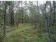 Magnolia QLD 4650