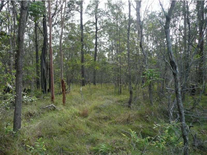 Magnolia QLD 4650
