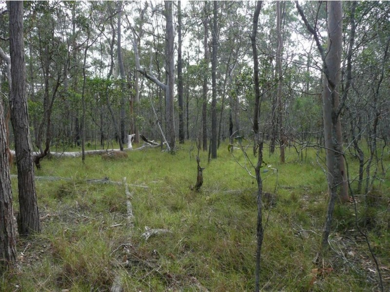 Magnolia QLD 4650