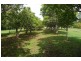 Tinana QLD 4650