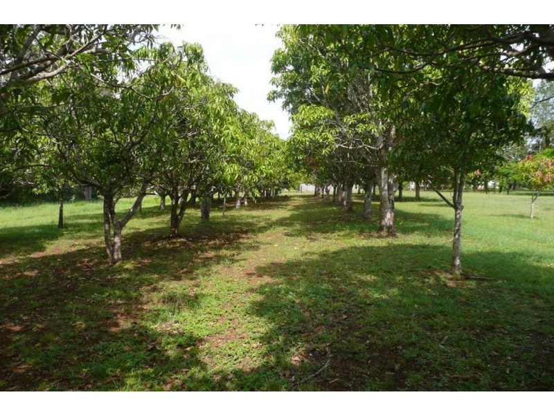 Tinana QLD 4650